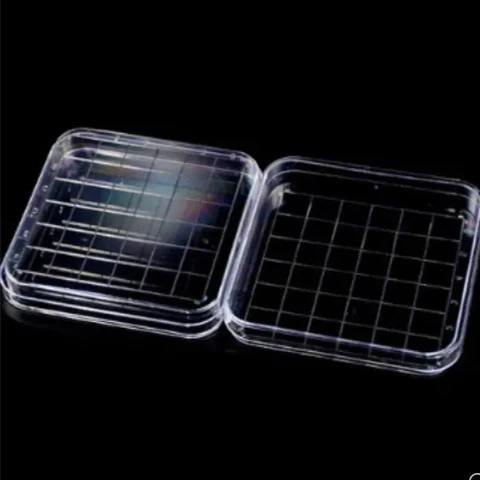 Disposable Lab Medical Plastic Petri Dish